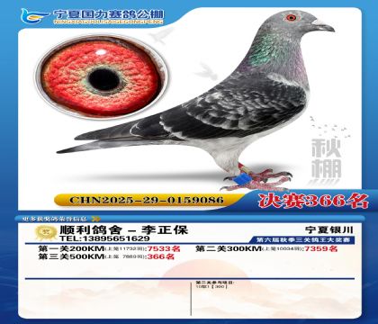 国力秋棚决赛366名