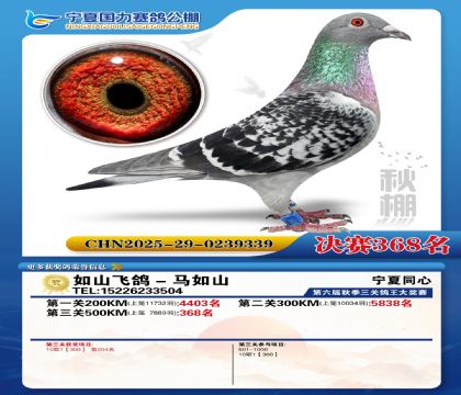 国力秋棚决赛368名