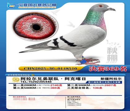 国力秋棚决赛369名