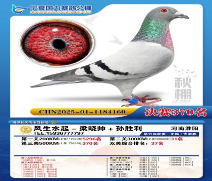 国力秋棚决赛370名