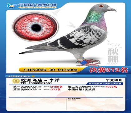 国力秋棚决赛372名