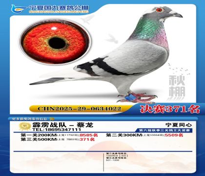 国力秋棚决赛371名