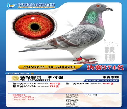 国力秋棚决赛374名