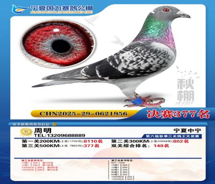 国力秋棚决赛377名