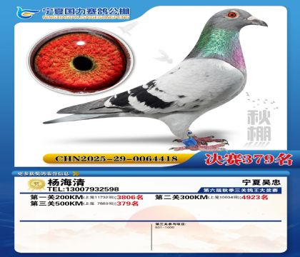 国力秋棚决赛379名