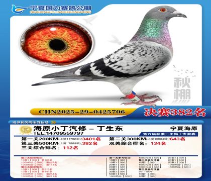 国力秋棚决赛382名