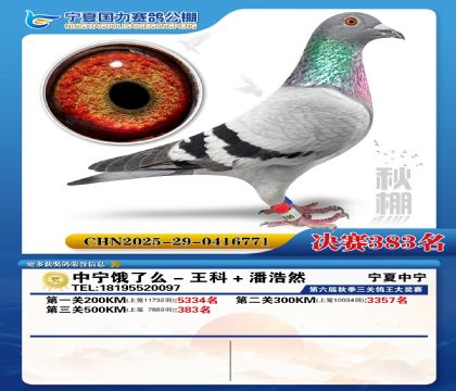 国力秋棚决赛383名