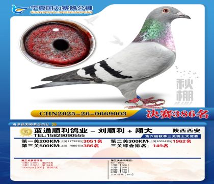 国力秋棚决赛386名