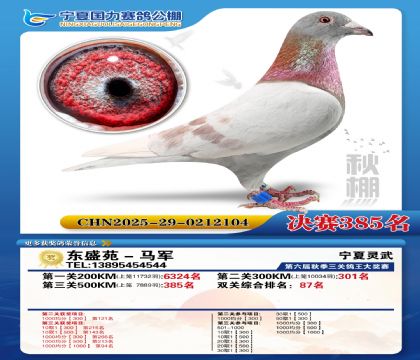 国力秋棚决赛385名