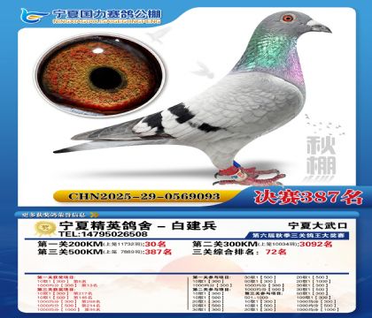 国力秋棚决赛387名