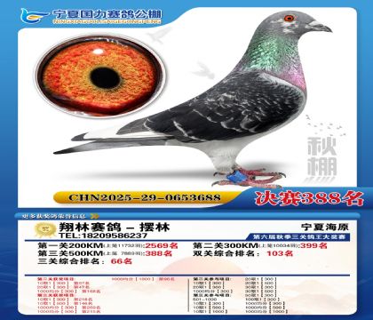 国力秋棚决赛388名