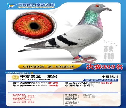 国力秋棚决赛389名