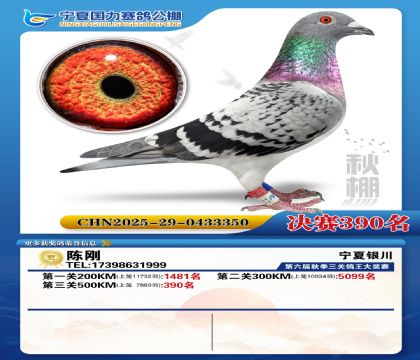 国力秋棚决赛390名