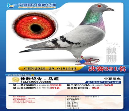 国力秋棚决赛391名