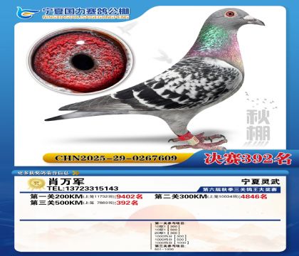 国力秋棚决赛392名