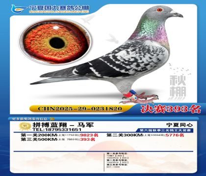 国力秋棚决赛393名