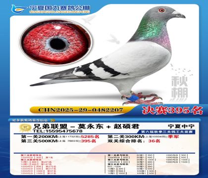 国力秋棚决赛395名