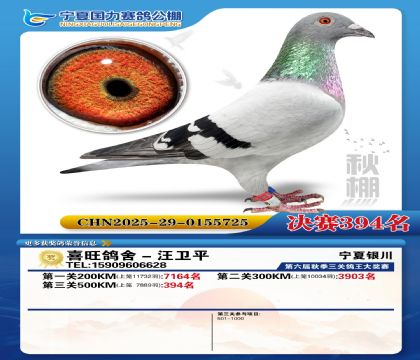 国力秋棚决赛394名