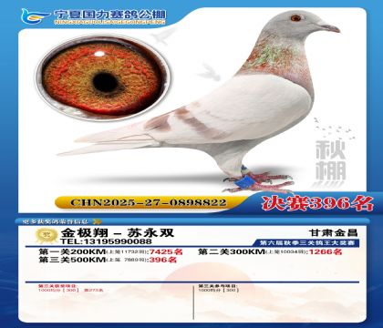 国力秋棚决赛396名