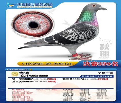 国力秋棚决赛398名