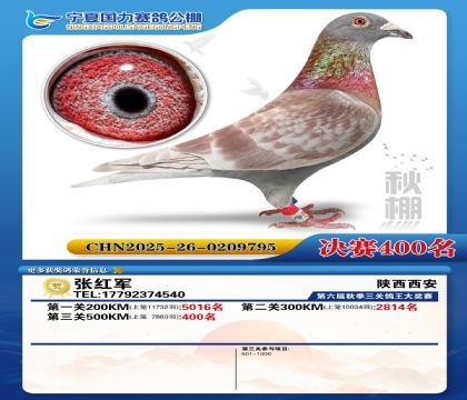 国力秋棚决赛400名