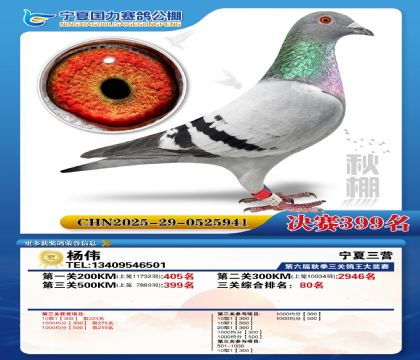 国力秋棚决赛399名