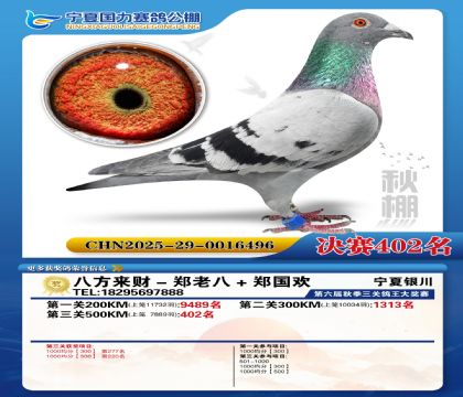 国力秋棚决赛402名