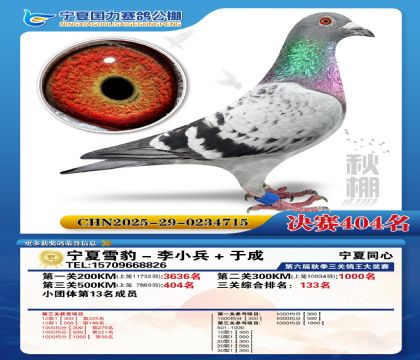 国力秋棚决赛404名