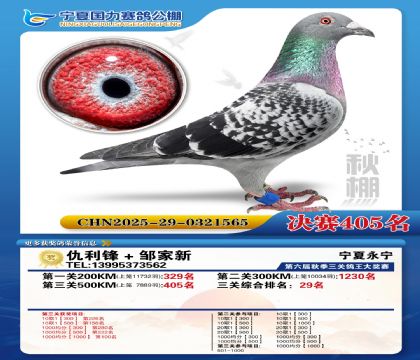 国力秋棚决赛405名