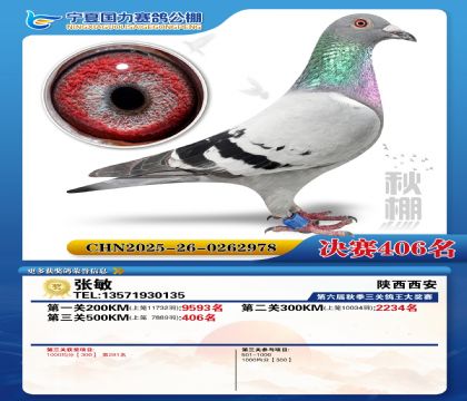 国力秋棚决赛406名