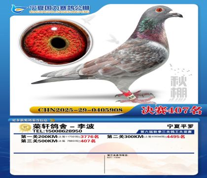 国力秋棚决赛407名