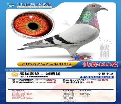 国力秋棚决赛408名