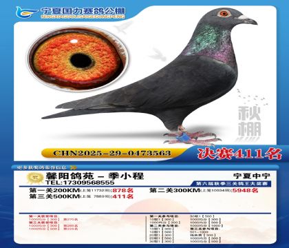 国力秋棚决赛411名