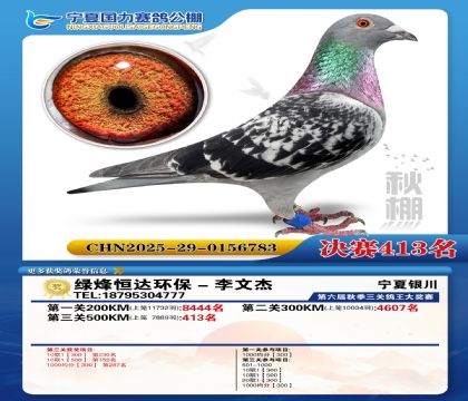 国力秋棚决赛413名