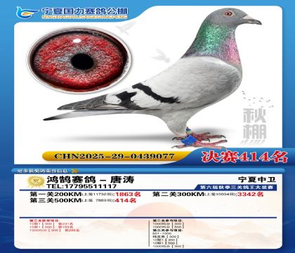 国力秋棚决赛414名