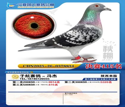 国力秋棚决赛415名