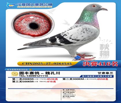 国力秋棚决赛416名