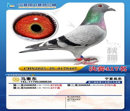 国力秋棚决赛417名