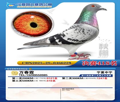 国力秋棚决赛418名