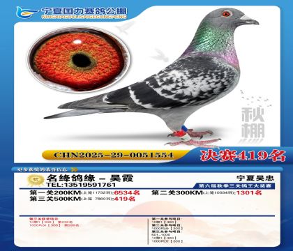 国力秋棚决赛419名