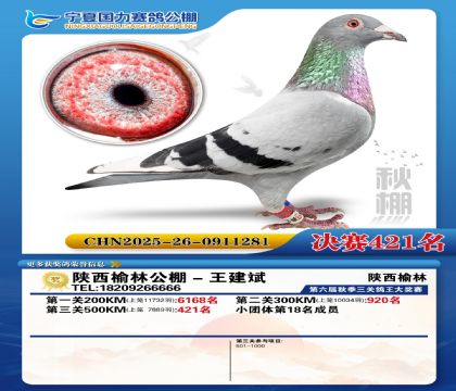 国力秋棚决赛421名