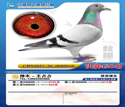 国力秋棚决赛420名