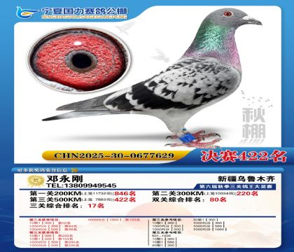 国力秋棚决赛422名