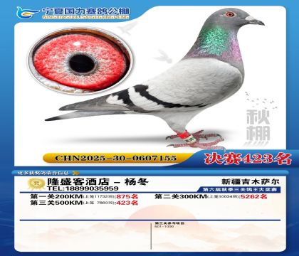 国力秋棚决赛423名