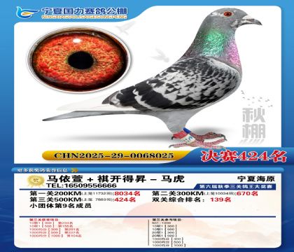 国力秋棚决赛424名