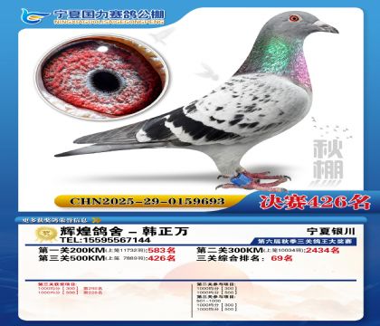 国力秋棚决赛426名