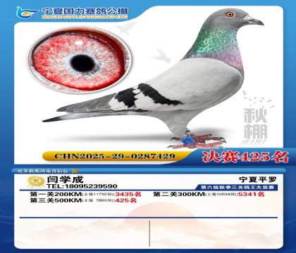 国力秋棚决赛425名