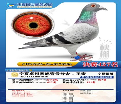 国力秋棚决赛427名