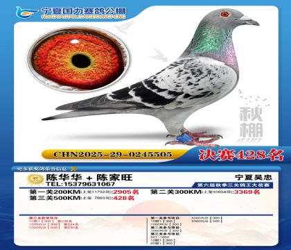 国力秋棚决赛428名