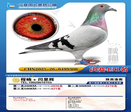 国力秋棚决赛431名